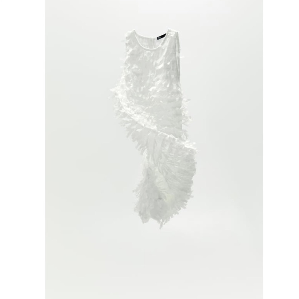 White Sparkly fringe ZARA dress